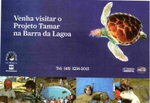 Projeto Tamar conta com apoio da TVA em Santa Catarina