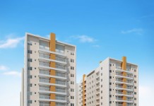 Grupo Thá comemora lançamento do Viva Vida