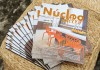 28° Edição da Revista Núcleo Decor é lançada na Morar Mais