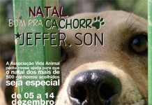 Jefferson Kullig lança campanha solidária “Natal bom pra cachorro”