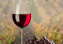 Vinhos, Delícias & Culturas na Coluna By João Nunes- 25 Anos de Colunismo Social