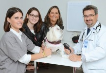 Para os Pets…Hospital Veterinário Didatus inaugura em grande estilo