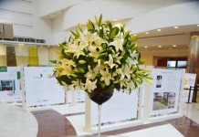 Móveis arte no Ecodesign Social…