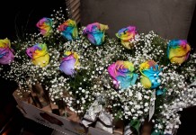 Agradecendo….sempre!