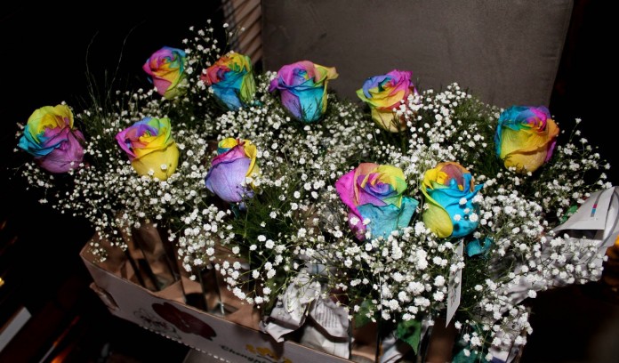 alemaya.niverjoãonunes184