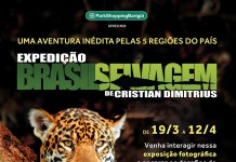 Exposição “Brasil Selvagem” é a nova atração do ParkShoppingBarigüi
