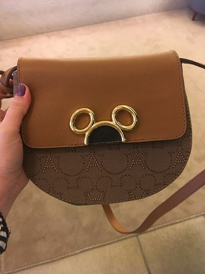 Arezzo-Disney-bolsa-marrom