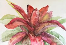 APAP/PR ABRE NESTE DOMINGO A EXPOSIÇÃO “CAMINHADA”