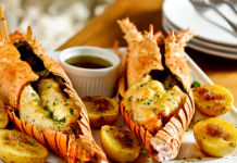 Florianópolis: Belas paisagens e boa gastronomia na Ilha da Magia