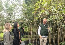 Jockey Plaza Shopping realiza a doação de mudas para o Horto Municipal de Curitiba