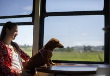 Novidade: Serra Verde Express inaugura primeiro vagão pet friendly do Brasil