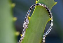 Campanha do Instituto TMO arrecada recursos para compra de medicamento para o HC