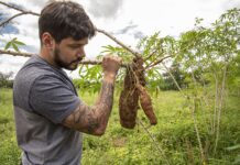 Gastronomia de Qualidade: Premiado chef de Curitiba, anuncia seu primeiro restaurante próprio na cidade