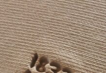 Então é Natal….Presente para sempre! em épocas de RE significar, de RE criar, de RE nascer, de RE começar, de RE construir…….