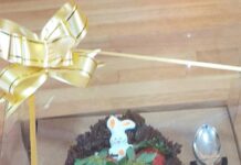 Mulheres Empreendedoras: Conheça Mirian Carla Sambulski