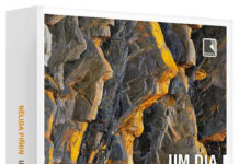 Cultura No Sofá: Jane Tutikian analisa obra de Nélida Piñon em edição virtual e gratuita do Clube de Leitura do Instituto Ling