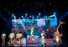 CULTURA: APÓS GRANDE SUCESSO NO RIO E SÃO PAULO, ‘MADAGASCAR, UMA AVENTURA MUSICAL’ CHEGA A CURITIBA EM MARÇO