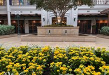 Pela cidade: Shopping da capital apoia setembro amarelo com ação simbólica