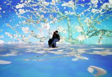 Arte No Sofá: Exposição imersiva Van Gogh e Impressionistas celebra a marca de 100 mil ingressos vendidos em Curitiba