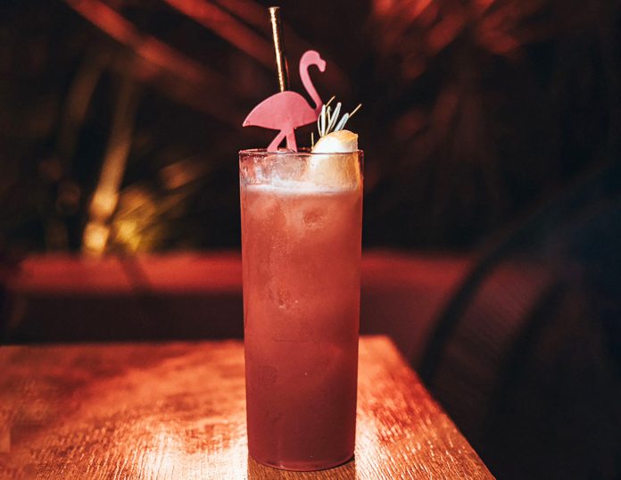 Aviva, drink exclusivo feito para a Virada Paradisíaca, Festa de Réveillon na Ópera de Arame, promete trazer boa sorte para o ano de 2024 (Créd. Las Casas)