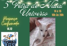 Natal/ 2024: Curitiba Recebe a 5ª Feira de Natal Universo com Solidariedade e Empreendedorismo