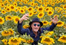 CULTURA: ALCEU VALENÇA 80 GIRASSÓIS VEM A CURITIBA