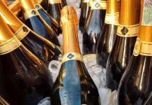 Em expansão no Sul, Cooperativa Vinícola Garibaldi leva portfólio premiado à ExpoApras